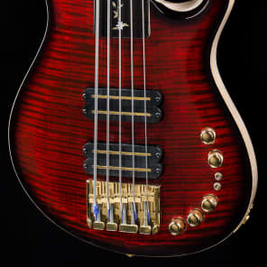 PRS Private Stock 6370 Guitar of the Month July Grainger 5 String Fretless Reverb