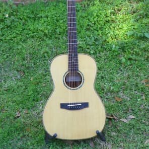 Takamine eg 406 s top