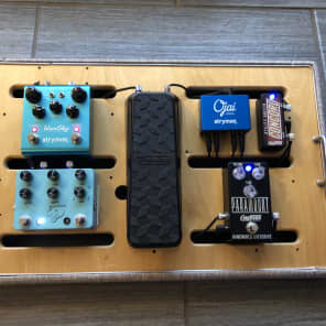 JRIG Pedalboard with Pedaltrain ATA case and pedal bundle image 11