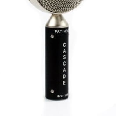 Cascade Fat Head Short Ribbon Microphone image 1