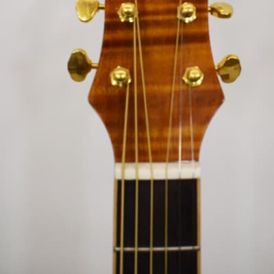 Michael Kelly MKLGD CFNA Acoustic/Electric Guitar with Flame Finish image 4