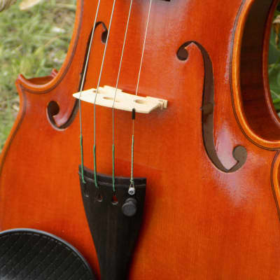 Suzuki Violin No. 1100 
