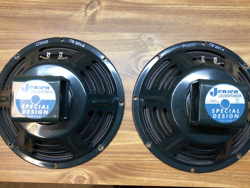 Pair of Jensen P 10R alnico speakers | Reverb