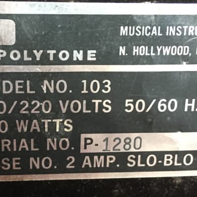 Polytone 103, very rare vintage amp in Europe! image 5