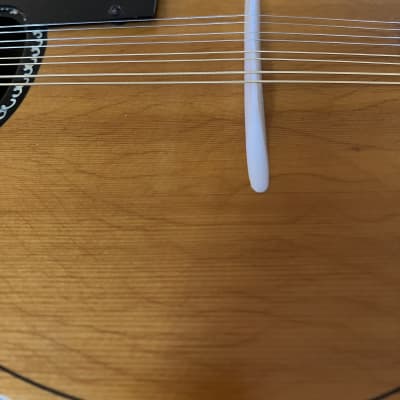 Kent Acoustic mandolin image 10