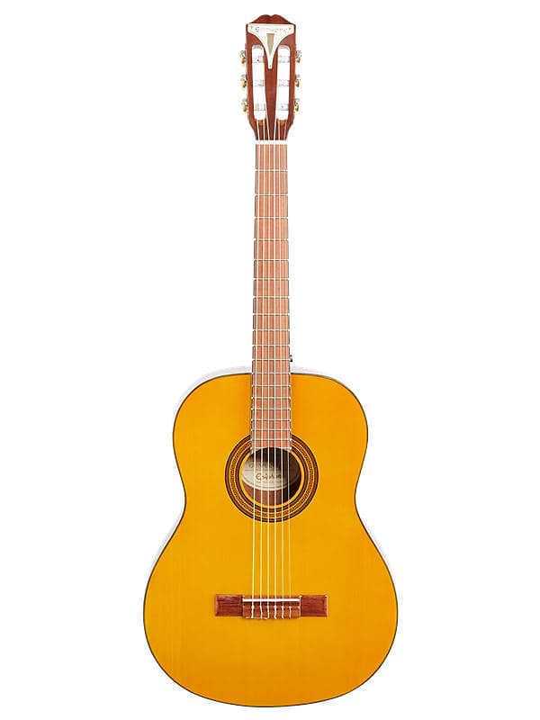 豪奢な PRO-1 Epiphone Classic Reverb | ギター