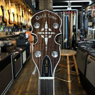 Gold Tone BG-150F Bluegrass Banjo with Flange w/Gig Bag image 7