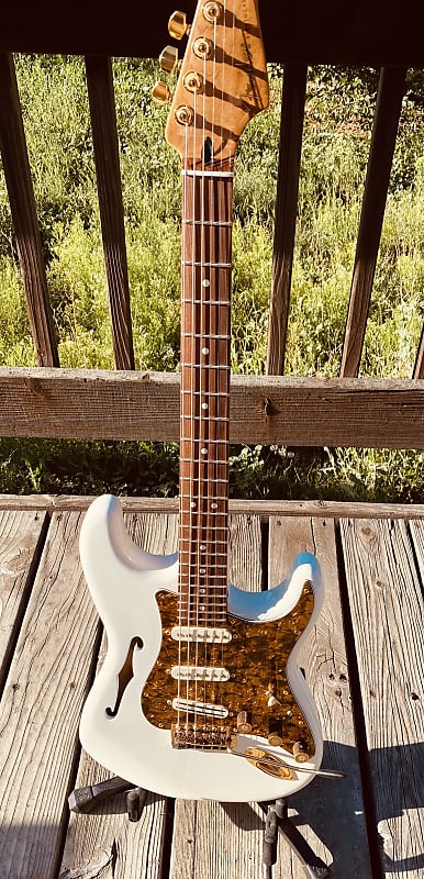 Fender Thinline Partscaster image 1