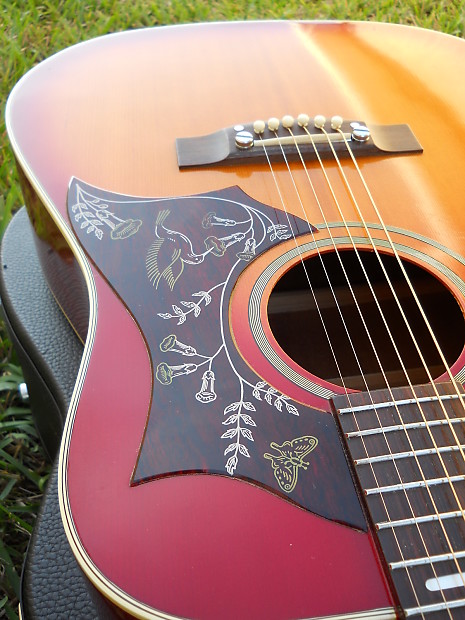 Vintage & RARE Hopf Hummingbird Acoustic Guitar, GERMANY
