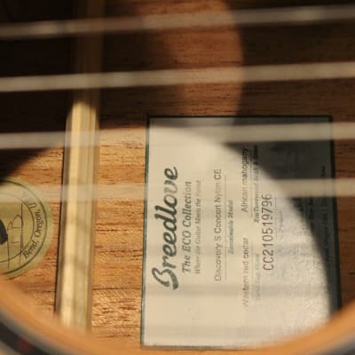 Breedlove Discovery S Concert Nylon CE Natural image 12