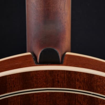 Gold Star GF-200 5 String Flathead Banjo gebraucht image 4