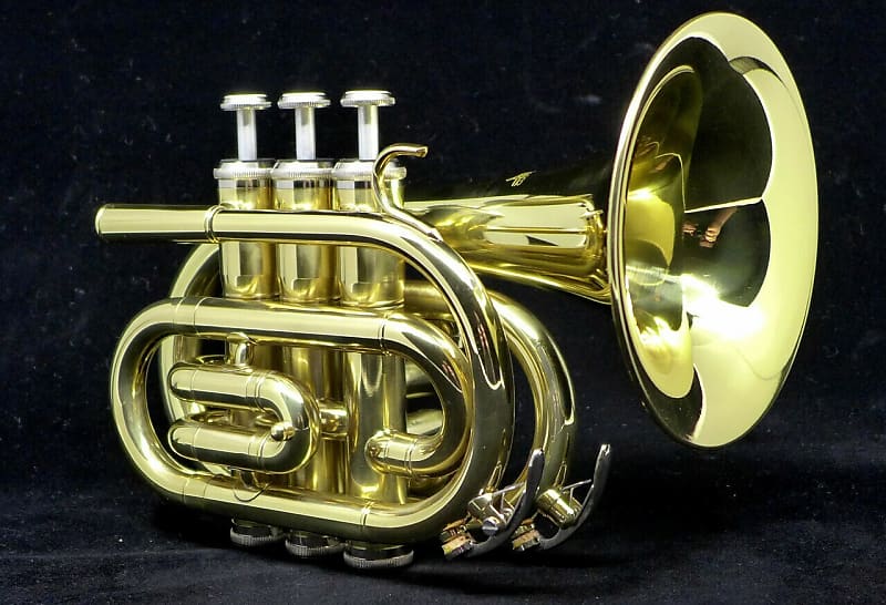 ACB Travel Bundle! Pocket Trumpet, Practice Mute, and Warburton PETE Pro! image 1