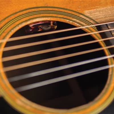 LR Baggs Lyric Acoustic Guitar Microphone image 4