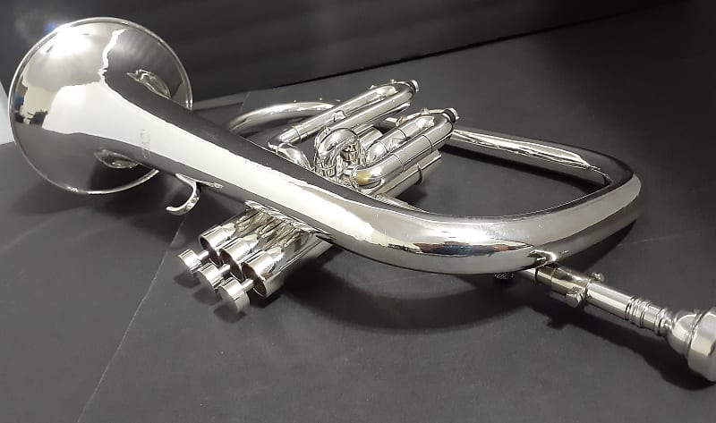 Getzen ETERNA 895S- 3 Valve FLUGELHORN , Mouthpiece & 2 Handle Combo Hard  case . 1964-1967 - Silver plated