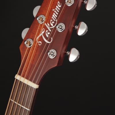 TAKAMINE Pro 2DC Dreadnought +Koffer image 2