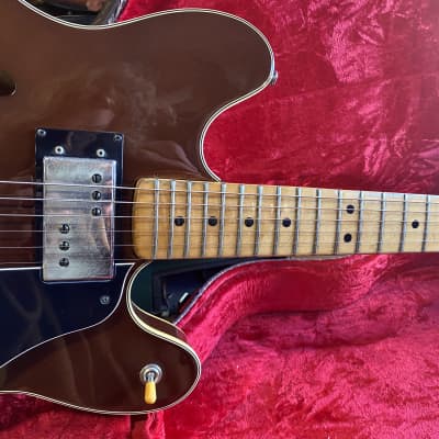 Fender Starcaster 1976 - Walnut (Mocha) image 4