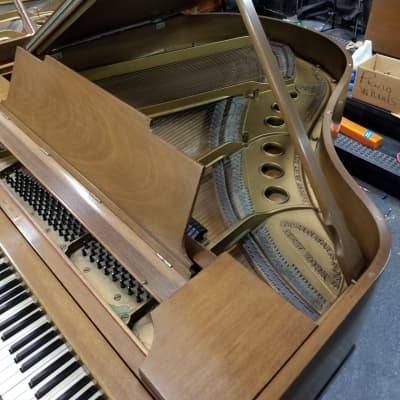 Steinway M Grand Piano image 1