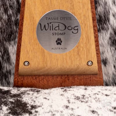 Wild Dog Tassie Devil Stomp Box - WD-130823 image 3