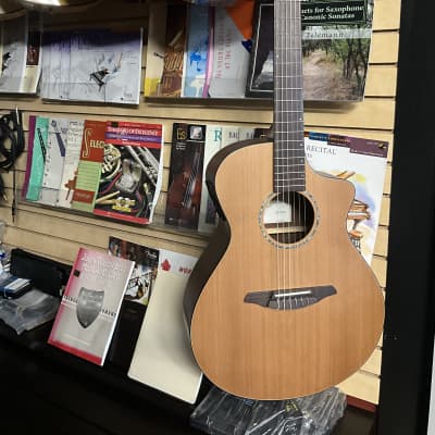 Breedlove Atlas AN250/CR acoustic electric nylon string guitar handcrafted in Korea 2005 in excellent condition with new road runner gig bag for sale