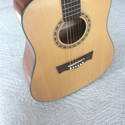 Peavey DW-1 Acoustic-Electric Guitar image 6