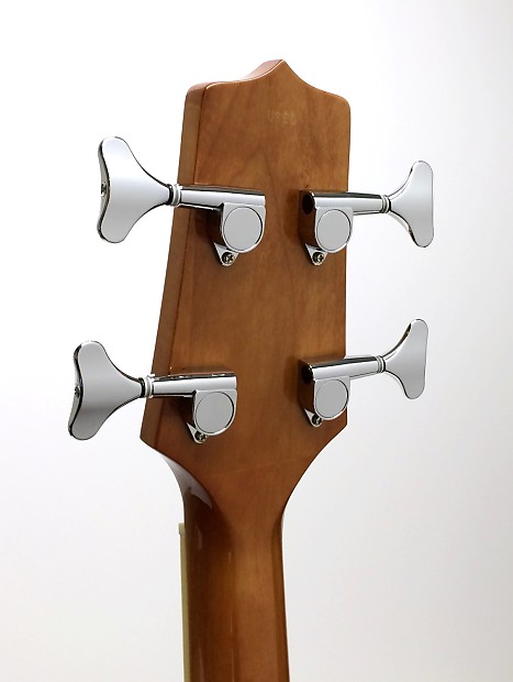 Takamine G Series EGB2S Jumbo Acoustic-Electric Bass | Reverb UK