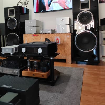 DANIEL HERTZ BY MARK LEVINSON M1 REFERENCE + 4 TELIKOS M5 + M6 2016 image 2