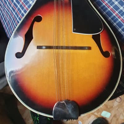 Hondo II Vintage mandolin image 1