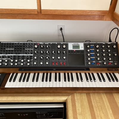 MOOG MINIMOOG VOYAGER XL WALNUT + COVER + LED LIGHTS / MINT!