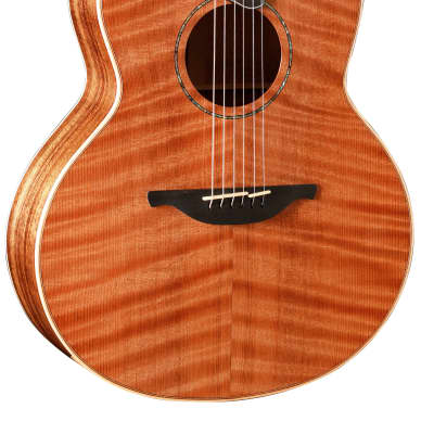 Hsienmo curly redwood tasmanian blackwood guitar with case image 1