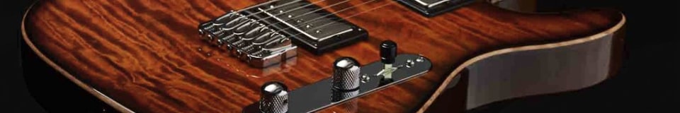 Fouche Guitars