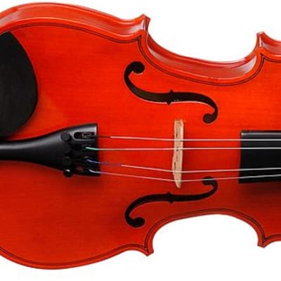 giannini GIV 44 NATURAL 4/4 VIOLINO | Reverb