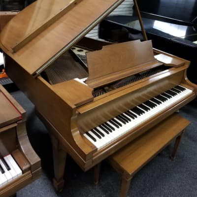 Steinway M Grand Piano image 2
