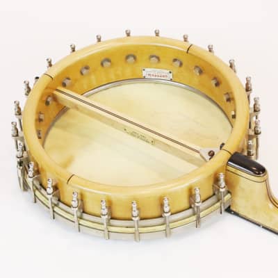 1920s Orpheum No. 1 MandoBanjo Banjolin Vintage Mandolin | Reverb