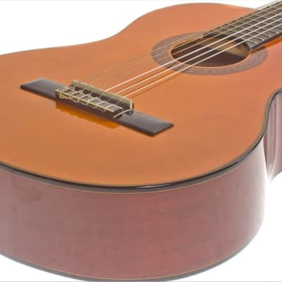 Washburn C40 Classical Spruce Top Wood Mahogany Neck Nylon 6-String Classical Acoustic Guitar image 4