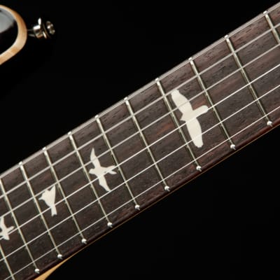 PRS CE 24 Semi Hollow - Faded Blue Smokeburst 2023 image 9