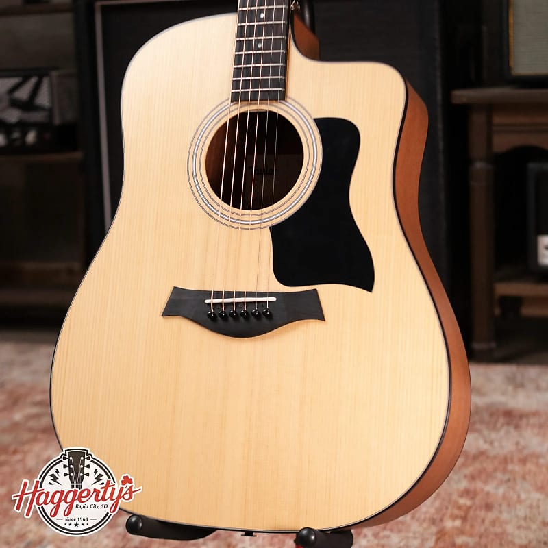 Taylor 110ce Dreadnought Acoustic/Electric Guitar with Gig