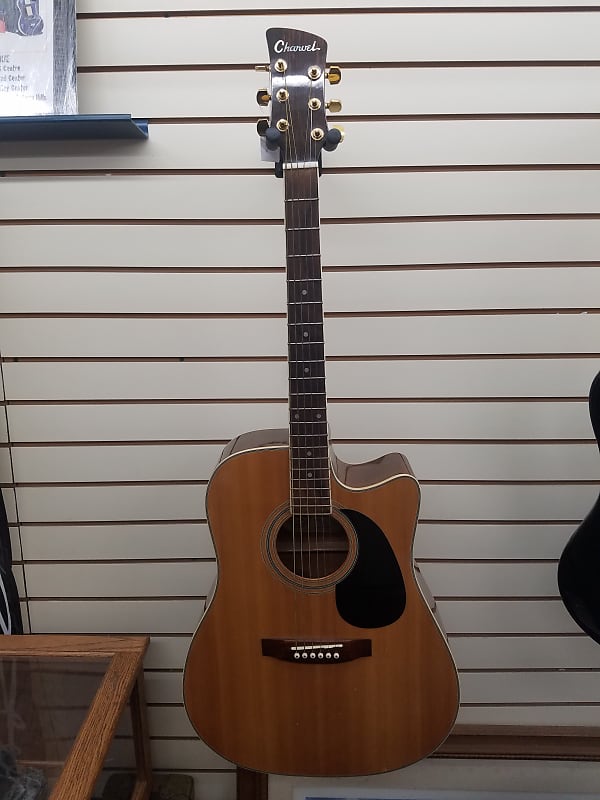 Charvel jackson outlet acoustic guitars