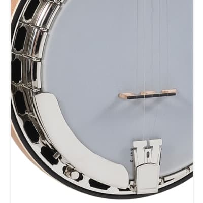 Recording King RK-R35-BR "Madison" Resonator Banjo. New with Full Warranty! image 3