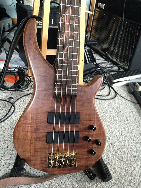Warmoth gecko sale 5