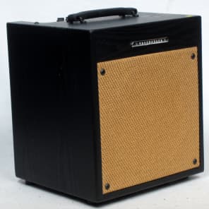 Troubadour store acoustic amp