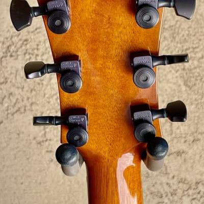 Marchione Semi-Hollow Maple / Mahogany Guitar  --   Brazilian Rosewood Fingerboard  -- image 6