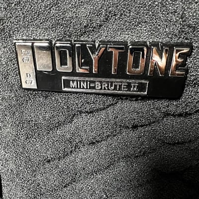 Polytone  Mini/Teeny Brute II Black Velvet 1x12 Solid State Jazz Guitar amplifier image 7
