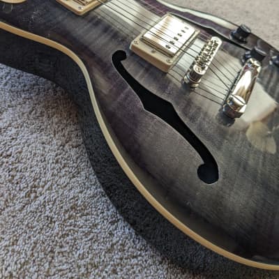 Epiphone les online paul florentine pro