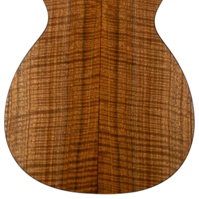 New Collings 2024 NAMM Special Baby 1 w/German Spruce Top and Figured Walnut Back & Sides image 4