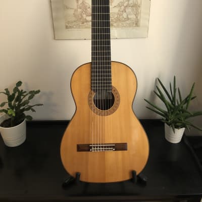 Stefano Moccetti  SP/IRW 8-string 1990 for sale