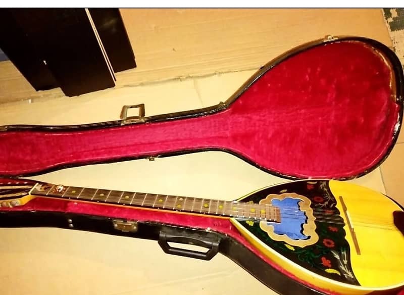 Greek Bouzoukis with hardcase pickup and.300 backing track 8 Reverb