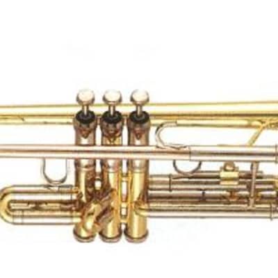 Hunter 6418ML Beginner Bb Trumpet for sale