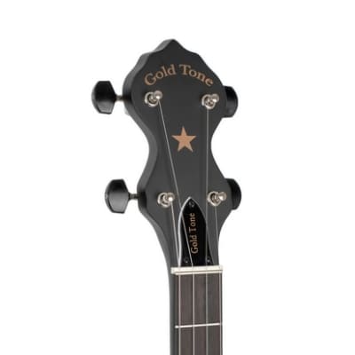 Gold Tone AC-12A: 12" A-Scale Acoustic Composite 5-String Openback Banjo w/ Gig Bag, Only 5 Pounds! New, Authorized Dealer image 10