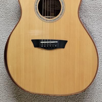 Washburn Comfort Series WCG700SWEK-D Acoustic Electric Guitar, Ovangkol and Spruce image 1