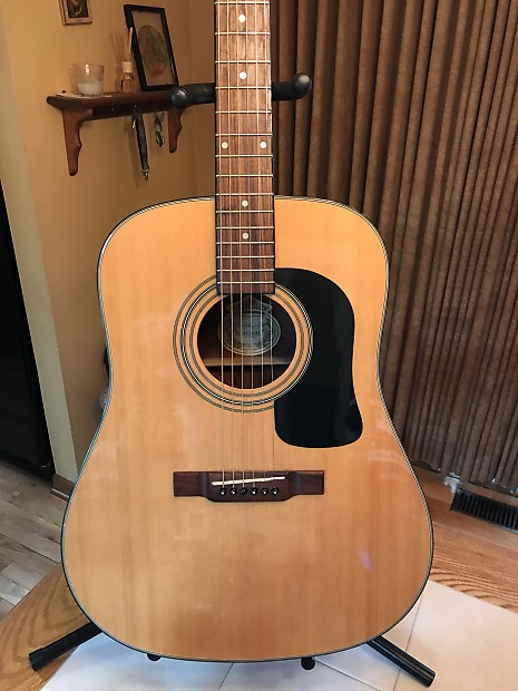 Washburn d 10n acoustic clearance guitar
